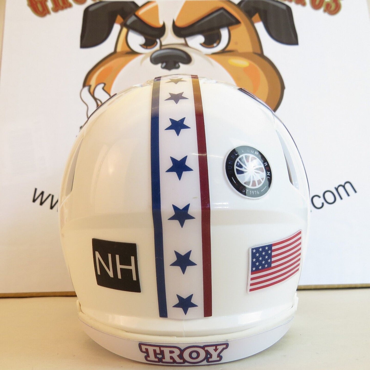 Troy State Trojans Custom Mini Helmet Military Appreciation Theme White