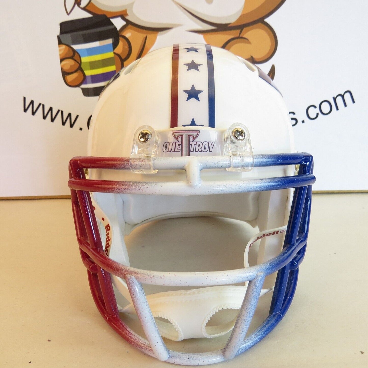 Troy State Trojans Custom Mini Helmet Military Appreciation Theme White