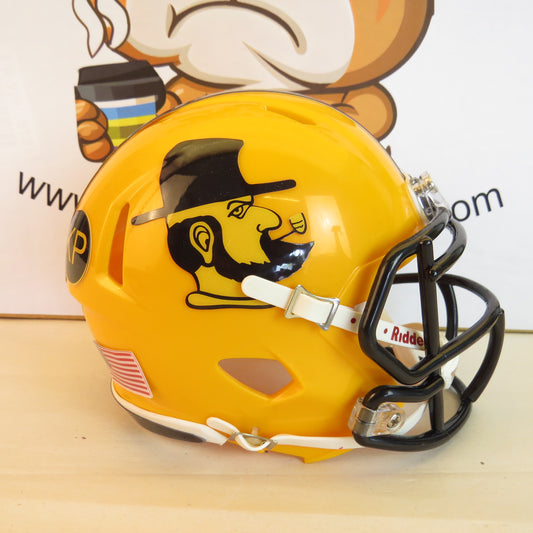 Applalachian State Mountaineers Custom Mini Helmet