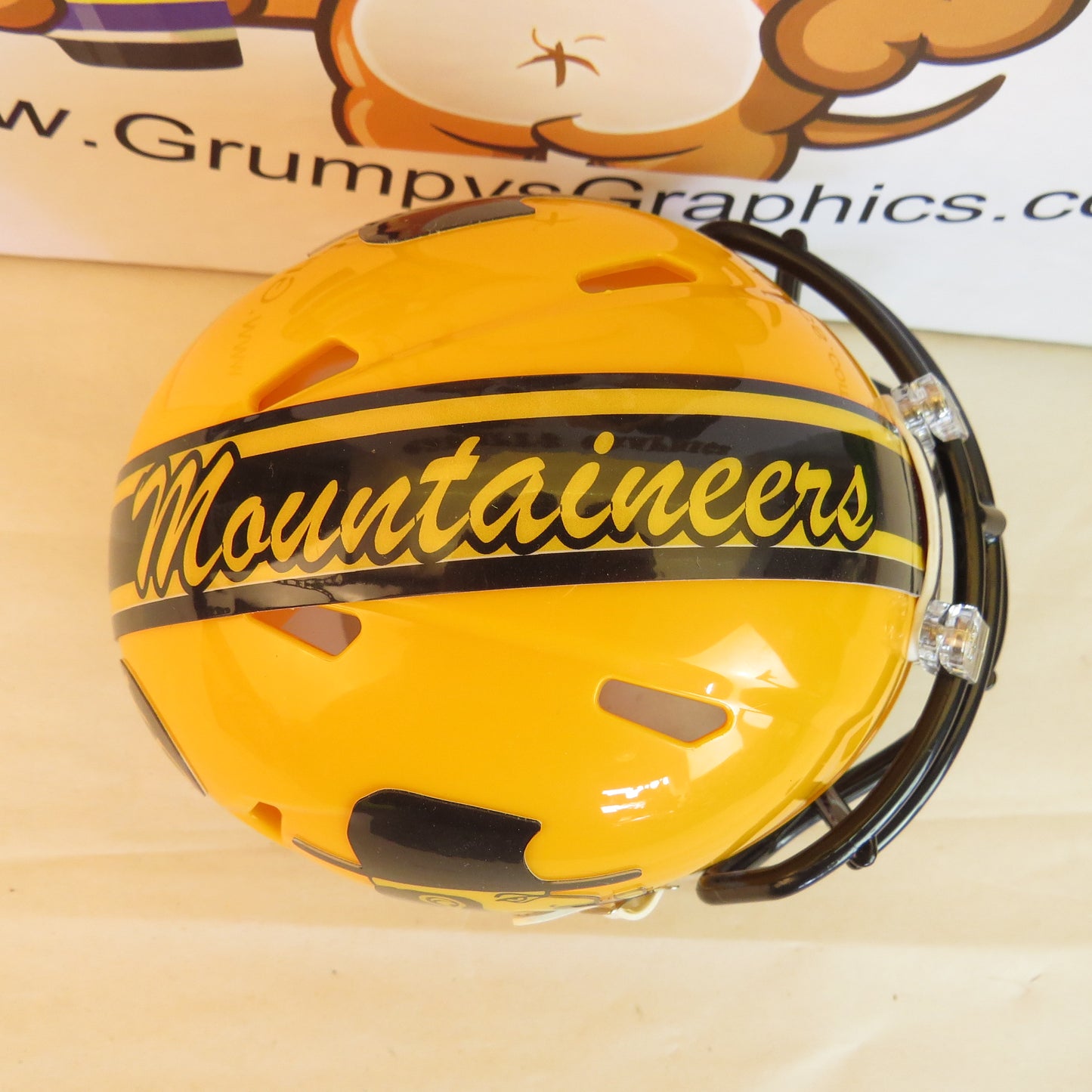 Applalachian State Mountaineers Custom Mini Helmet