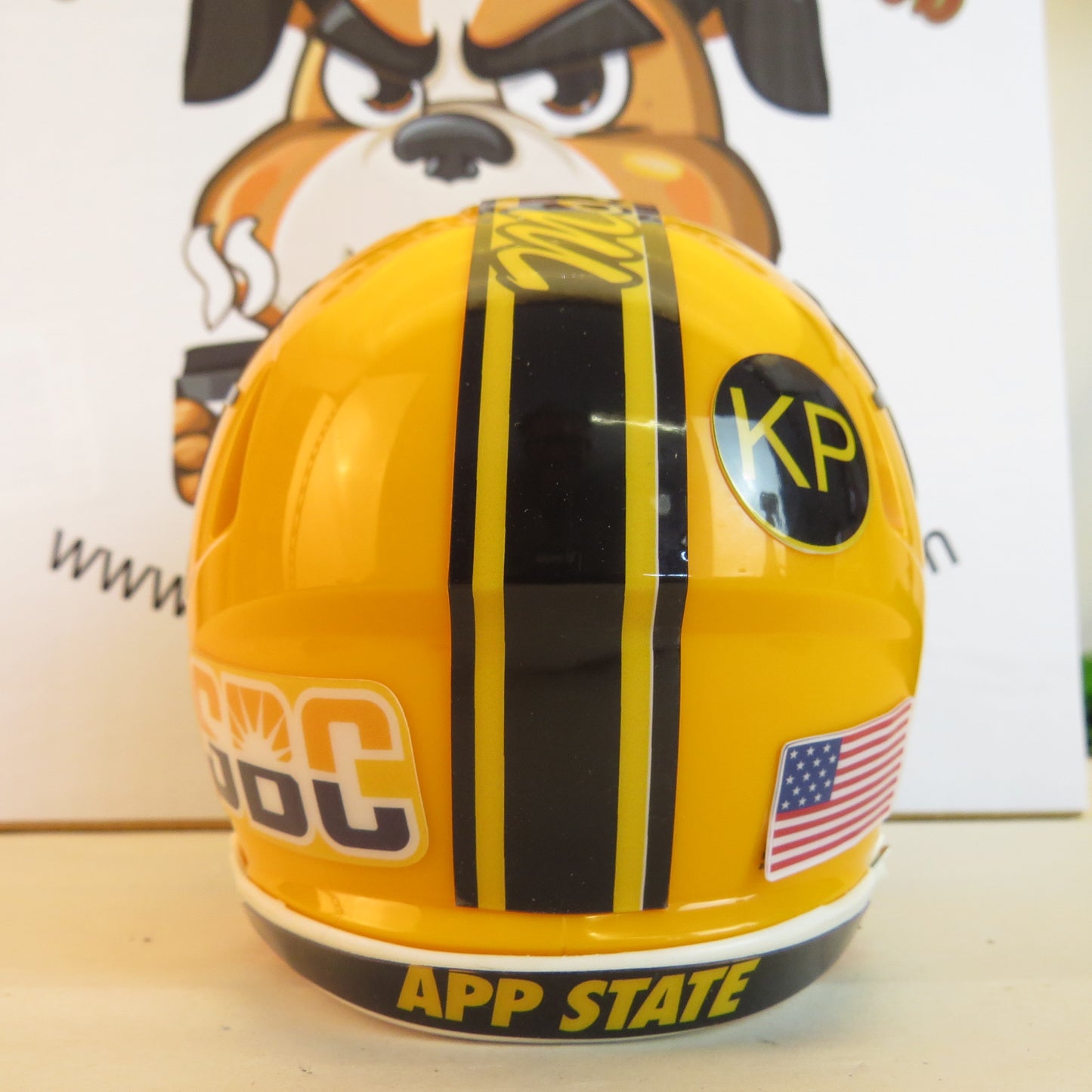 Applalachian State Mountaineers Custom Mini Helmet